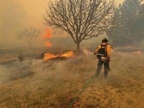 This handout picture courtesy of the Flower Mound Fire Department taken on Wednesday, Feb. 28, 2024, shows a firefighter battling the Smokehouse Creek Fire, near Amarillo, in the Texas Panhandle.