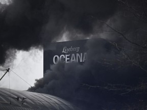 Smoke rises after a fire broke out at the Liseberg amusement park's new water world Oceana in Goteborg, Sweden, Monday Feb. 12, 2024.