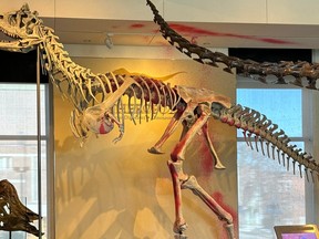 Canadian Museum of Nature dinosaur skeleton vandalism