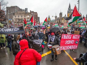 Rally in support of Palestinians