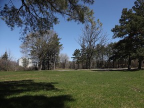 The grassy area of Sarah Billings Place near The Ottawa Hospital's Riverside campus could be turned into a parking lot.