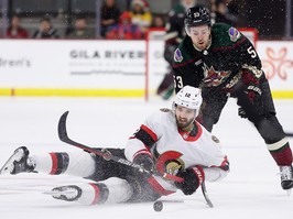 Mark Kastelic Ottawa Senators Arizona Coyotes