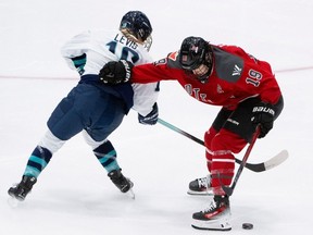 Ottawa captain Brianne Jenner in action