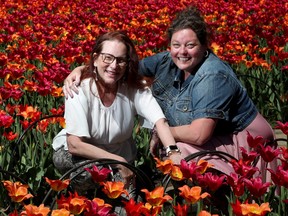Executive Director of the Tulip festival, Jo Riding, along with volunteer director of communications, Kimothy Walker