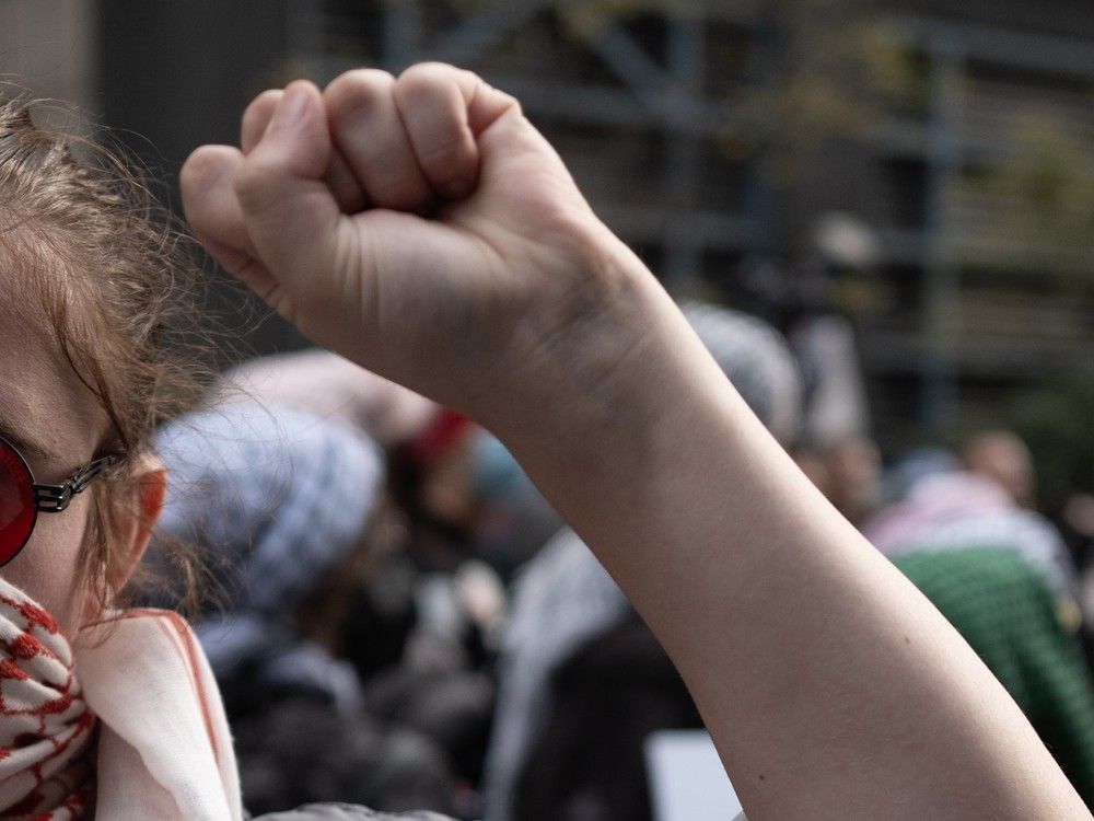 Un puño levantado en señal de protesta.