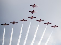 The Snowbirds