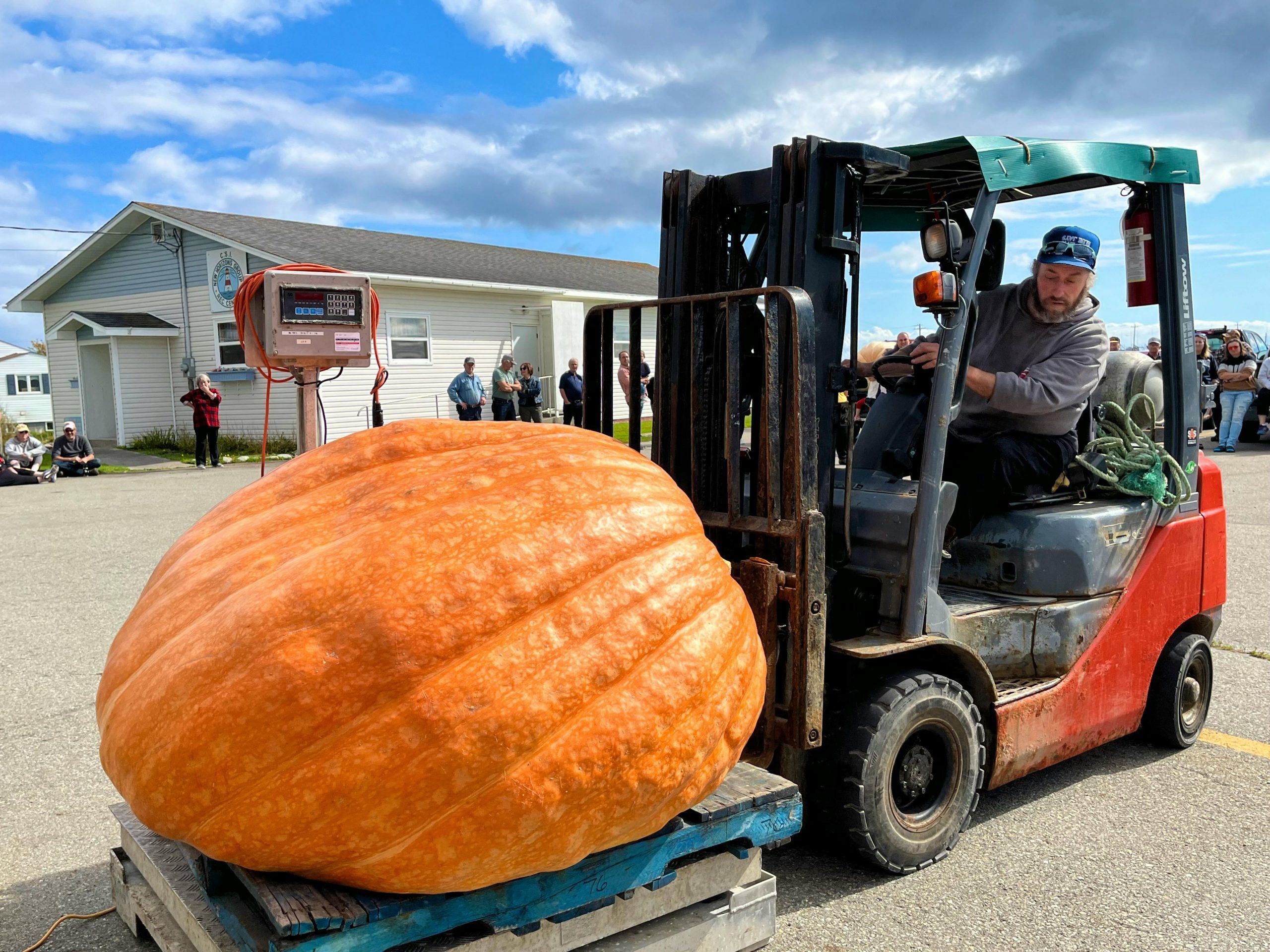 Clark's Harbour pumpkin weigh-in held where 1,260-pounder tips the
