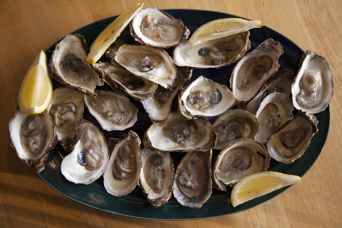 COMMENTARY: Eating filter-feeding shellfish – the good, the bad 