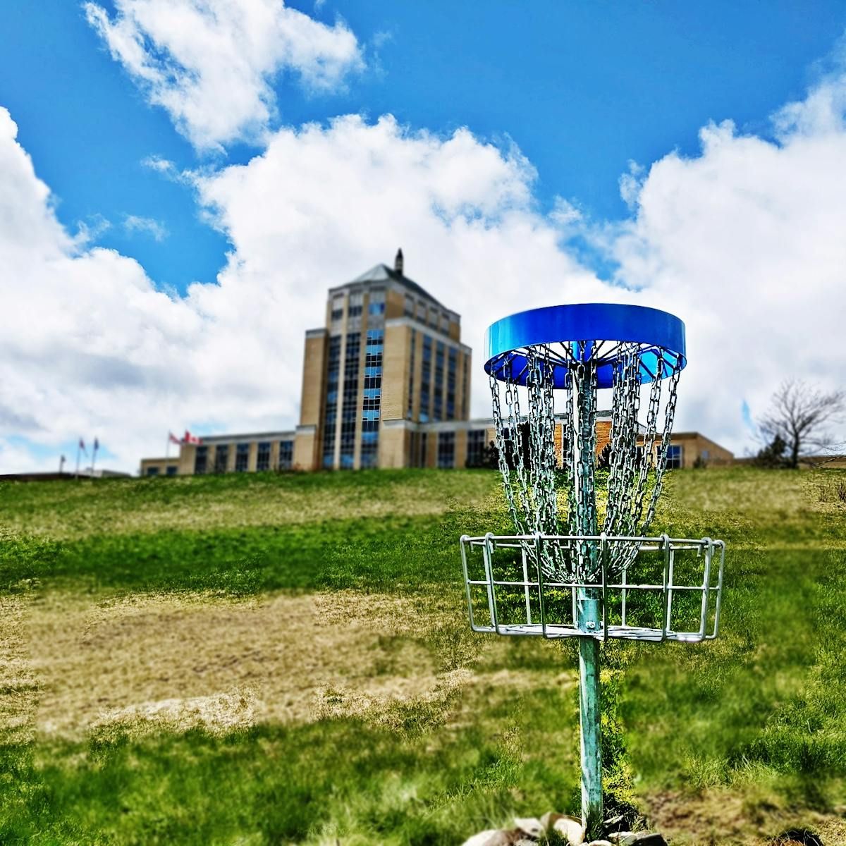 Disc Golf NL hopes new 18hole St. John's course will sport's