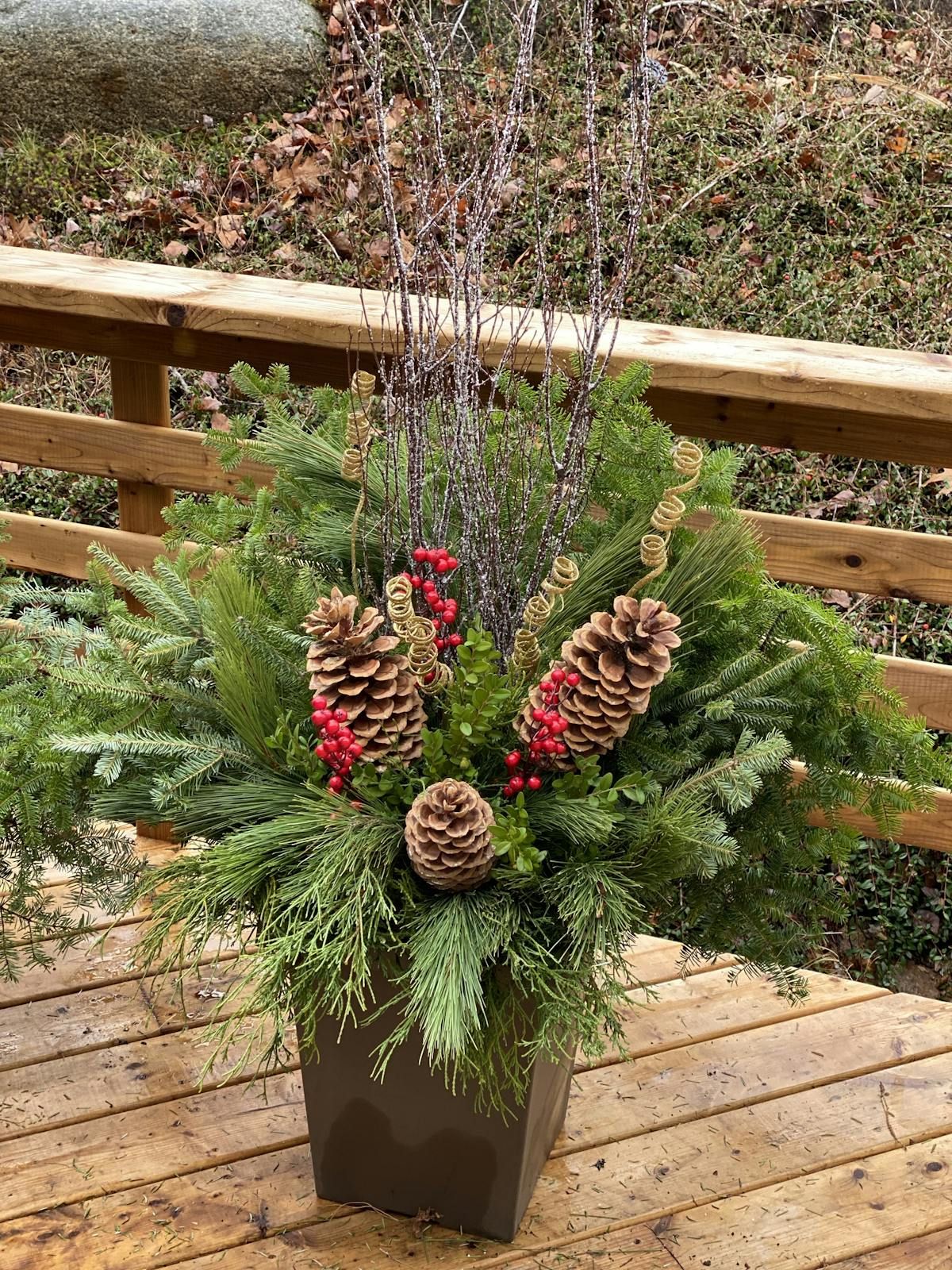 GET GROWING: Botanical-inspired holiday decor | PNI Atlantic News, image size:1200x1600