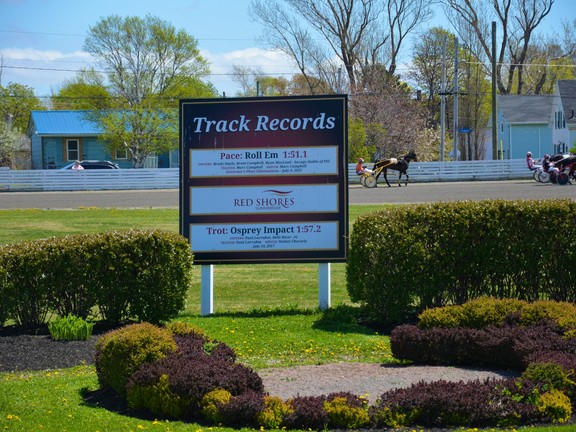 HARNESS RACING: Track records fall in Summerside | PNI Atlantic News