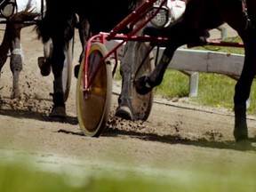 Sporty Anthony, Tobins Gem win gold at Summerside Raceway | PNI ...