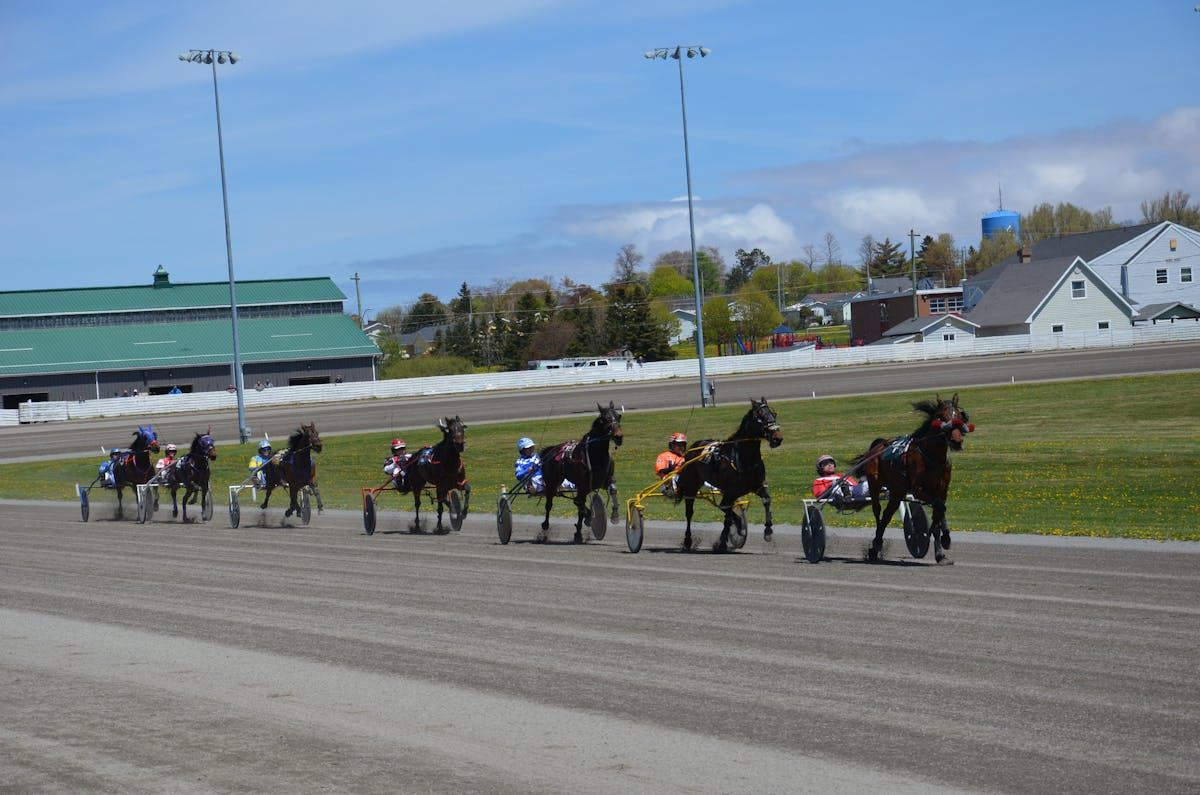 Red Shores at Summerside Raceway begins 138th year of live harness ...