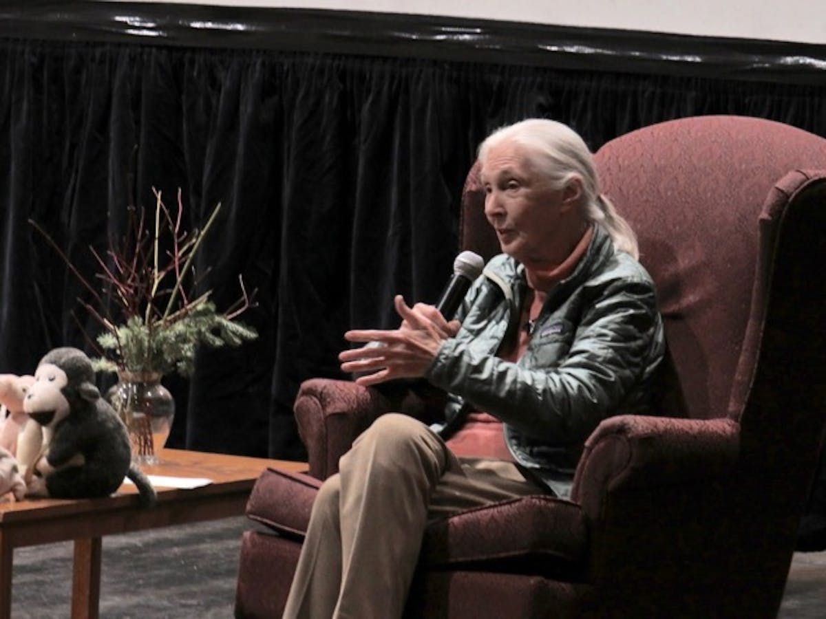 WENDY ELLIOTT: Sisters of the Jungle an inspiring read