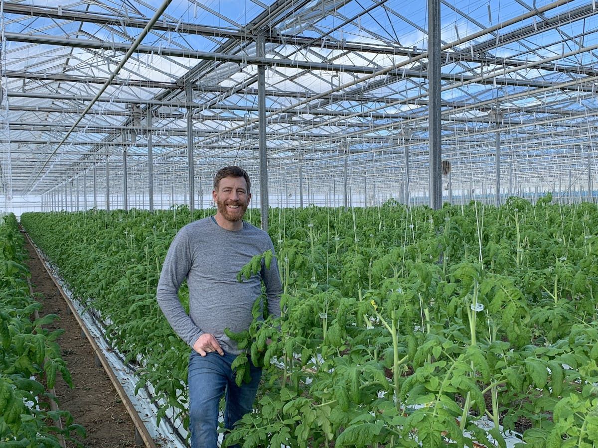 Lawrencetown-area den Haan's greenhouse business poised for