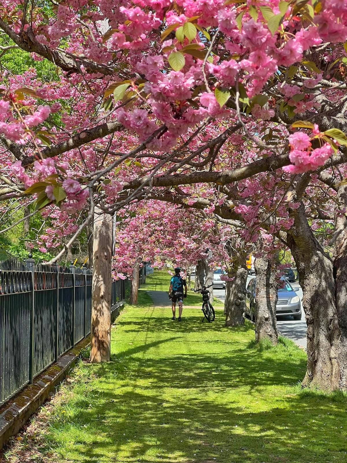 Leighton Dillman Park
