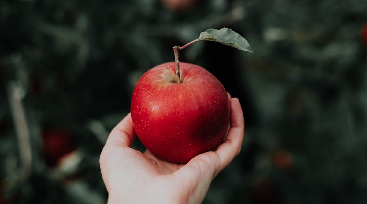 COMMENTARY: Retired politicians speak out in favour of a P.E.I. basic income demonstration