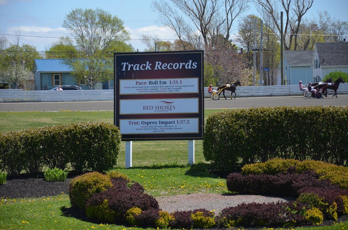 HARNESS RACING: Smooth Lou stomps in Summerside | PNI Atlantic News