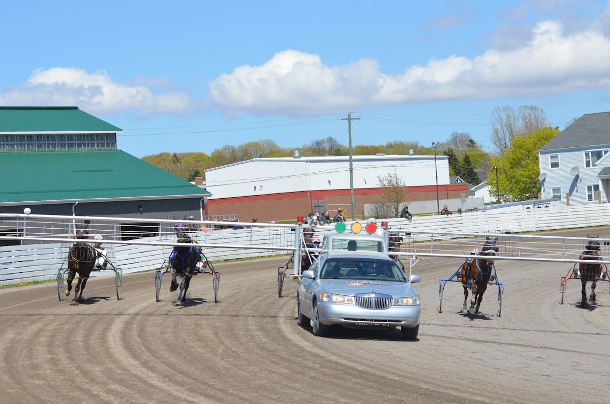 Keep Coming heralded as top contender at Summerside Raceway | PNI ...