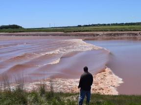 A tourist watches the tidal bore flow up the Salmon River near Truro on Friday.