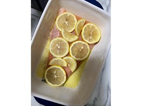 salmon
