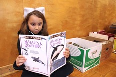 Kaliyah Clarke, a seven-year-old Bear River resident, enjoys a book about whales and dolphins Nov. 16 at the Friends of the Annapolis Royal Librarys giant used book sale. Jason Malloy