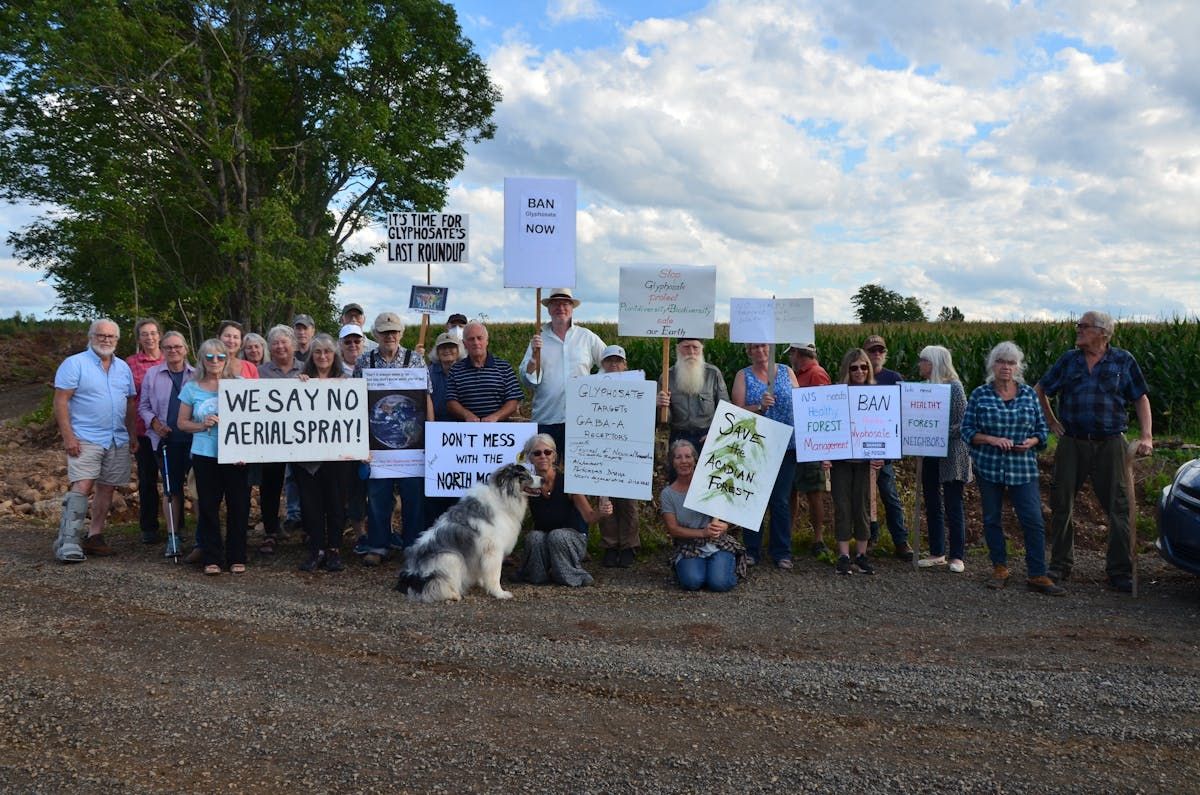  a dedicated group in the annapolis valley made sure a camp was occupied 24/7 to prevent glyphosate spraying in their vicinity in this file photo.