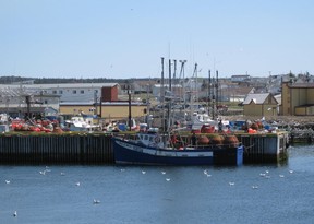 Boats involved in the snow crab fishery at Bonavista