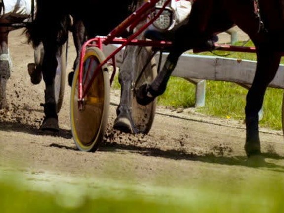 P.E.I. harness racing at Charlottetown Driving Park June 14, 2025 | PNI ...