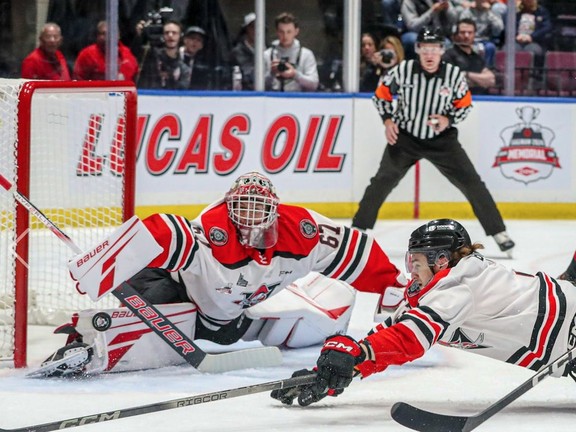 NL's Riley Mercer signs first NHL deal with Minnesota Wild | PNI ...