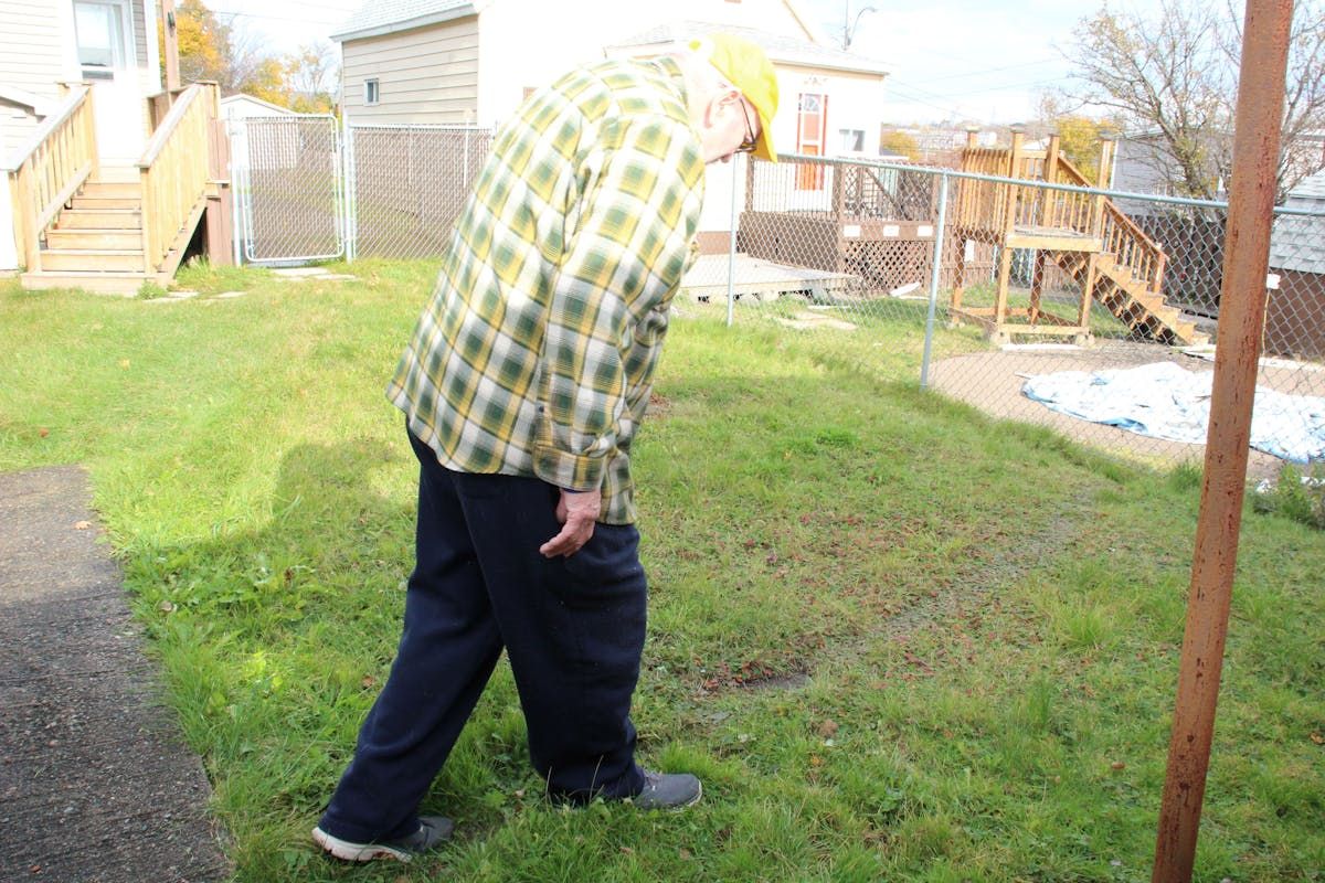 Rat worries: Residents see increase in rodents as Cape Breton coffee ...