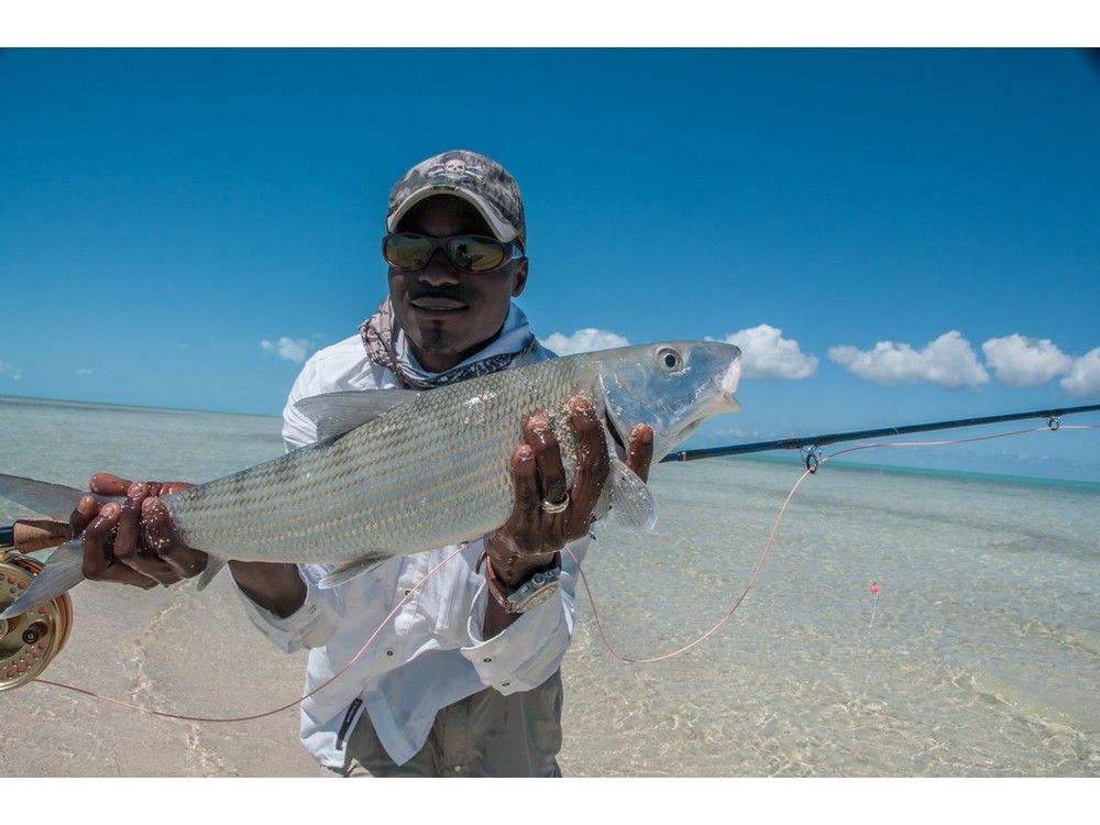 PAUL SMITH: Dreaming of fishing for bonefish in Turks and Caicos again