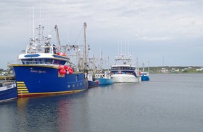 NL fishing boats