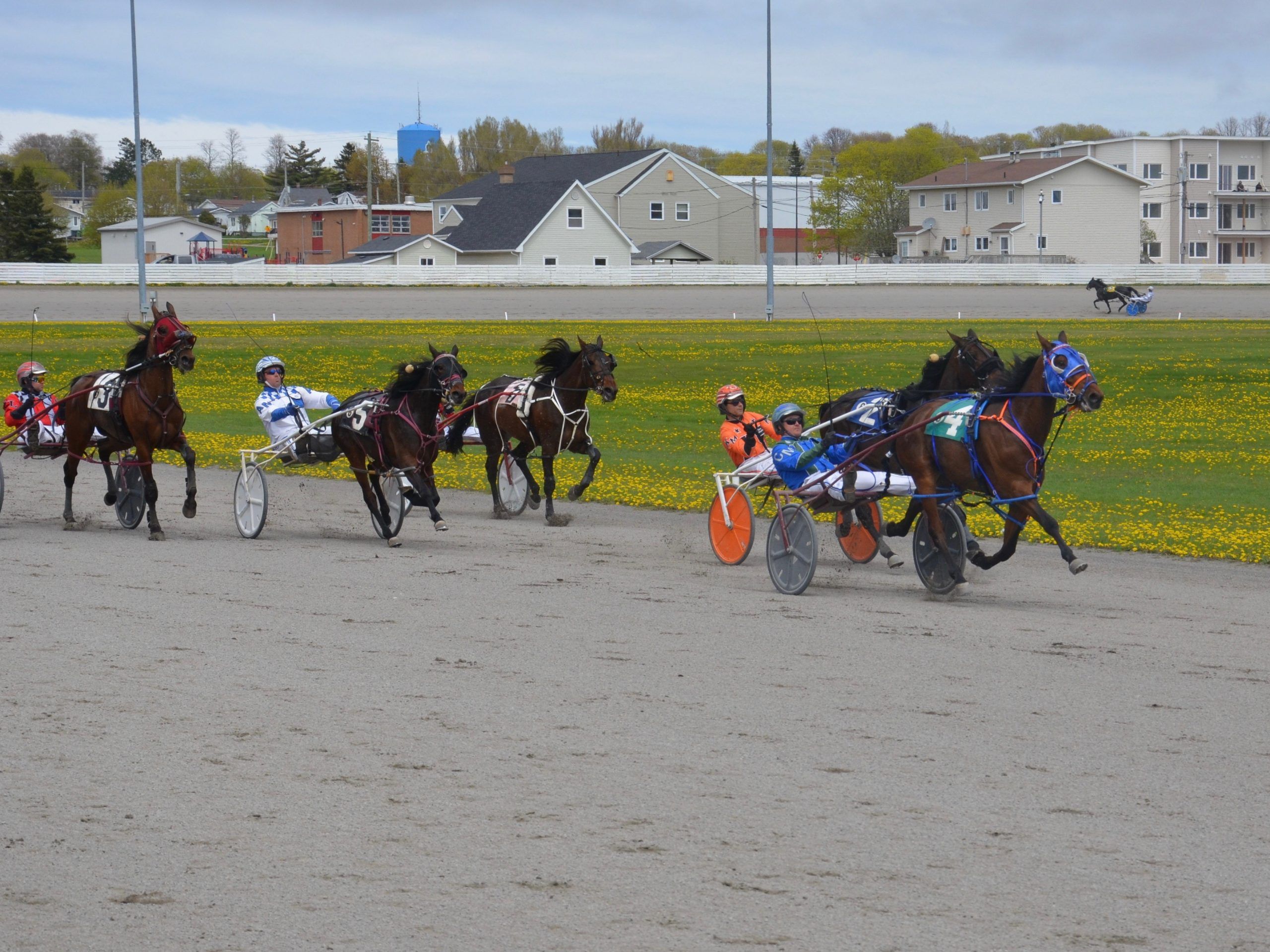 Exciting times for harness racing in Summerside | PNI Atlantic News