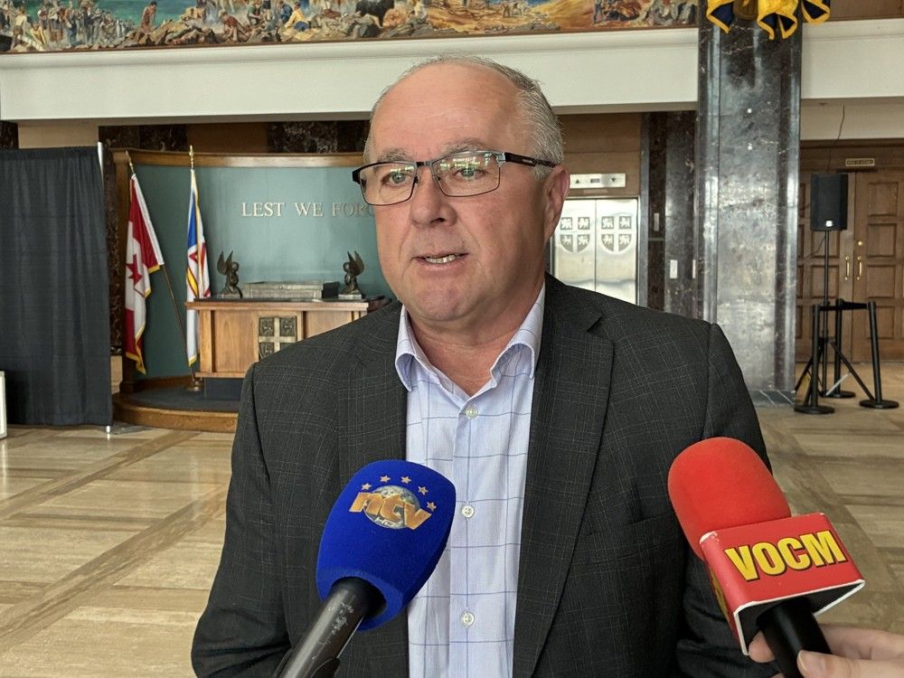  barry petten, health critic of the official opposition, said the health human resource plan does not reflect the real health-care access problems people in the province are facing. photo by cameron kilfoy/the telegram