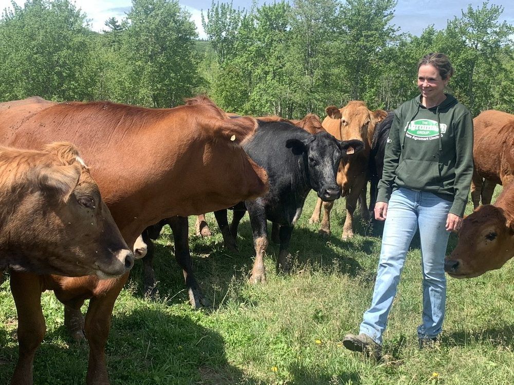 Falmouth farm couple raises kids and most everything else