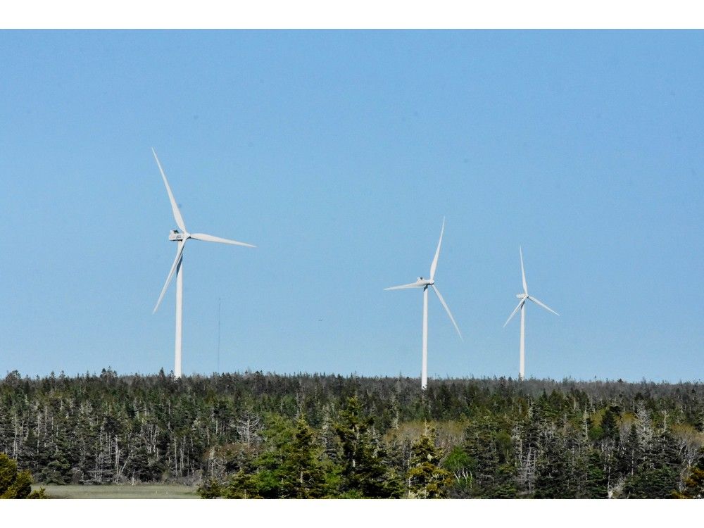  some wind turbines in the municipality of argyle in yarmouth county. more wind energy is on the way with another project. tina comeau