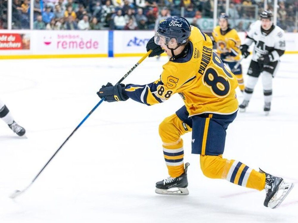 Boston Bruins high on Nova Scotian Cole Chandler's two-way ability, playoff mentality