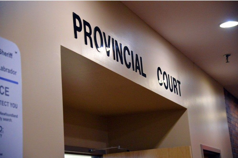 Crown seeks to limit access to graphic evidence as bail hearing for St. John's woman charged with incest begins