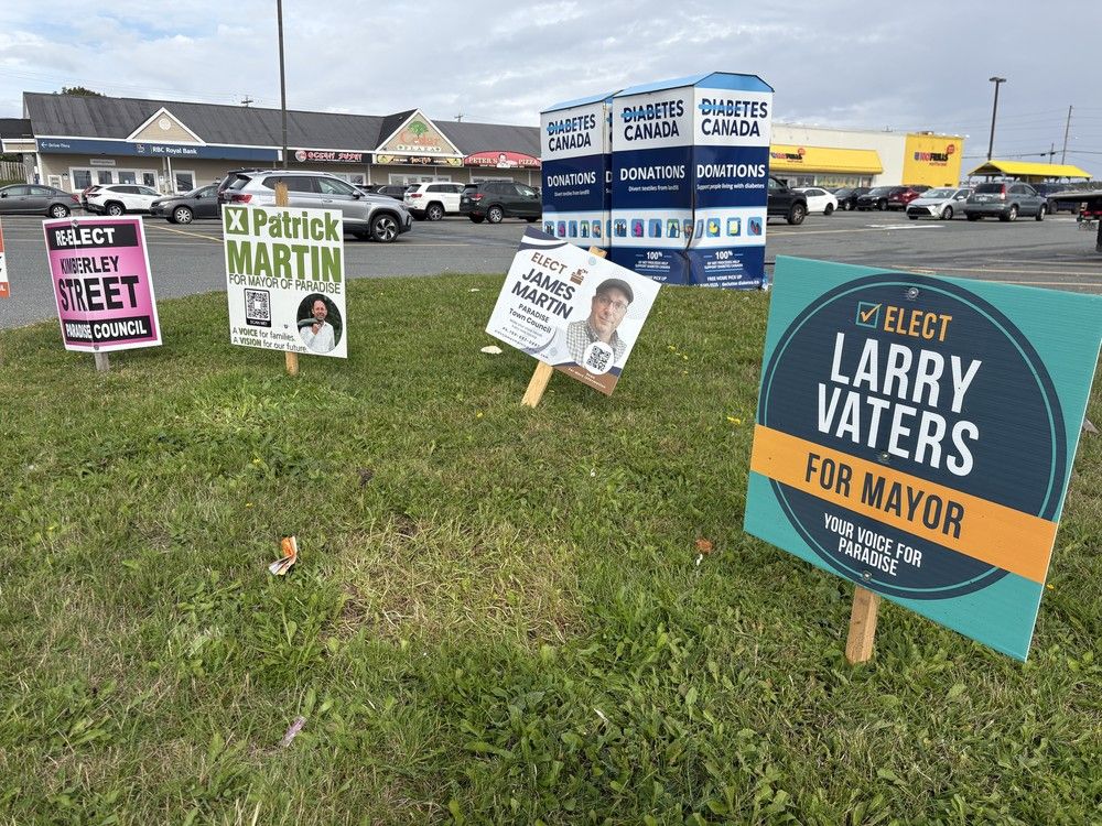 LIVE: Newfoundland and Labrador municipal election results