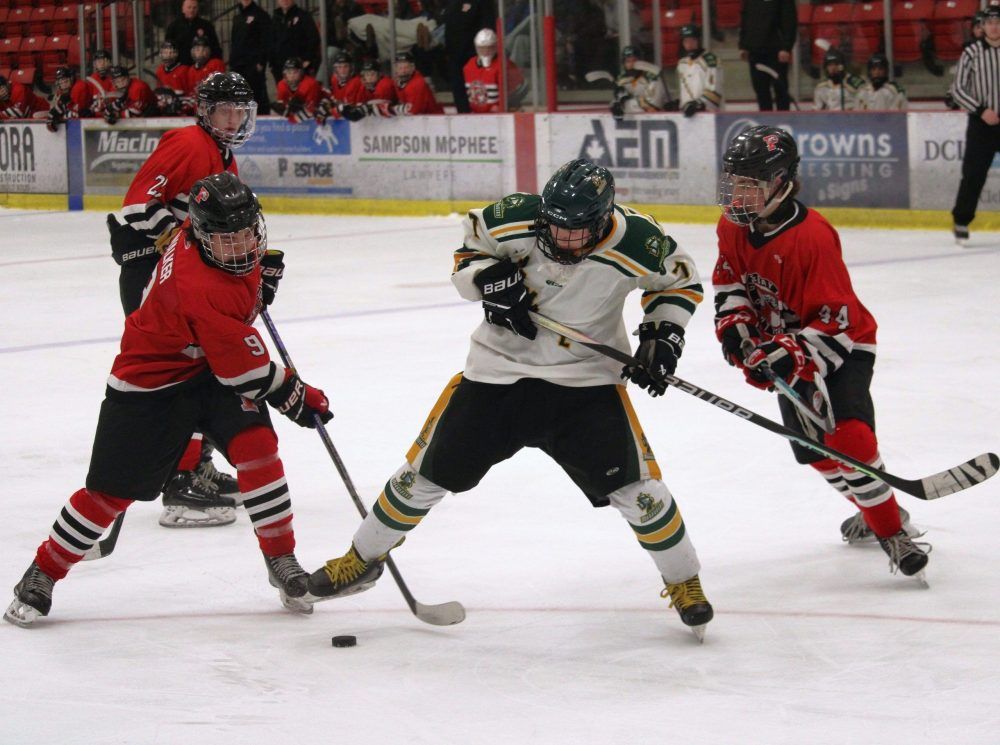 Blue and White High School Hockey