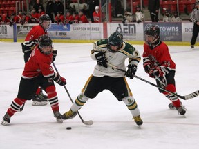 Blue and White High School Hockey