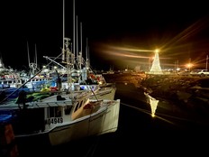 The buoy tree at the Dennis Point Wharf in Lower West Pubnico is reflected in the harbour's water following it's lighting on Nov. 21. The tree celebrates the holiday season, but it also stands as a beacon in honour and remembrance of those involved in the lobster industry. TINA COMEAU