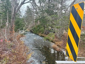 Water levels are high on the Middle River on Saturday, Nov. 15, 2025.