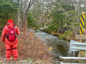 A group leader heads into the woods near the Middle River on Saturday, Nov. 15, 2025.