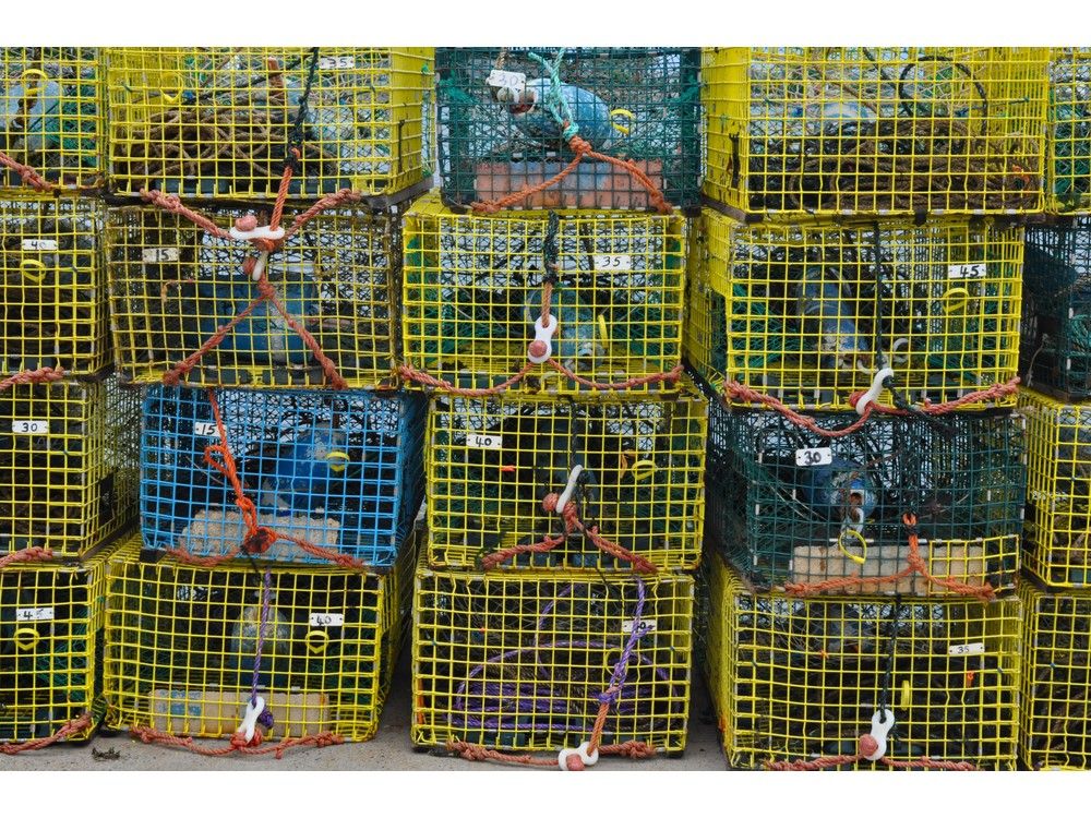 Charges, profiteering off the illegal fishery and lawsuits: How China's first big investment in Nova Scotia lobster turned sour