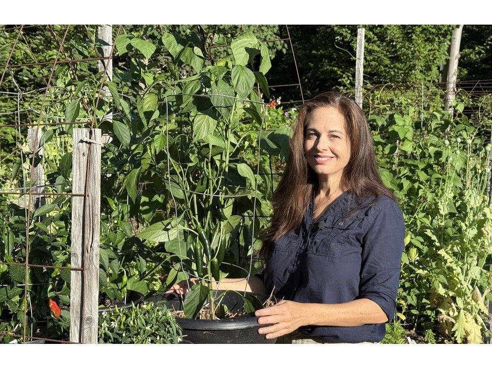 Niki Jabbour: A Nova Scotia gardening year in review