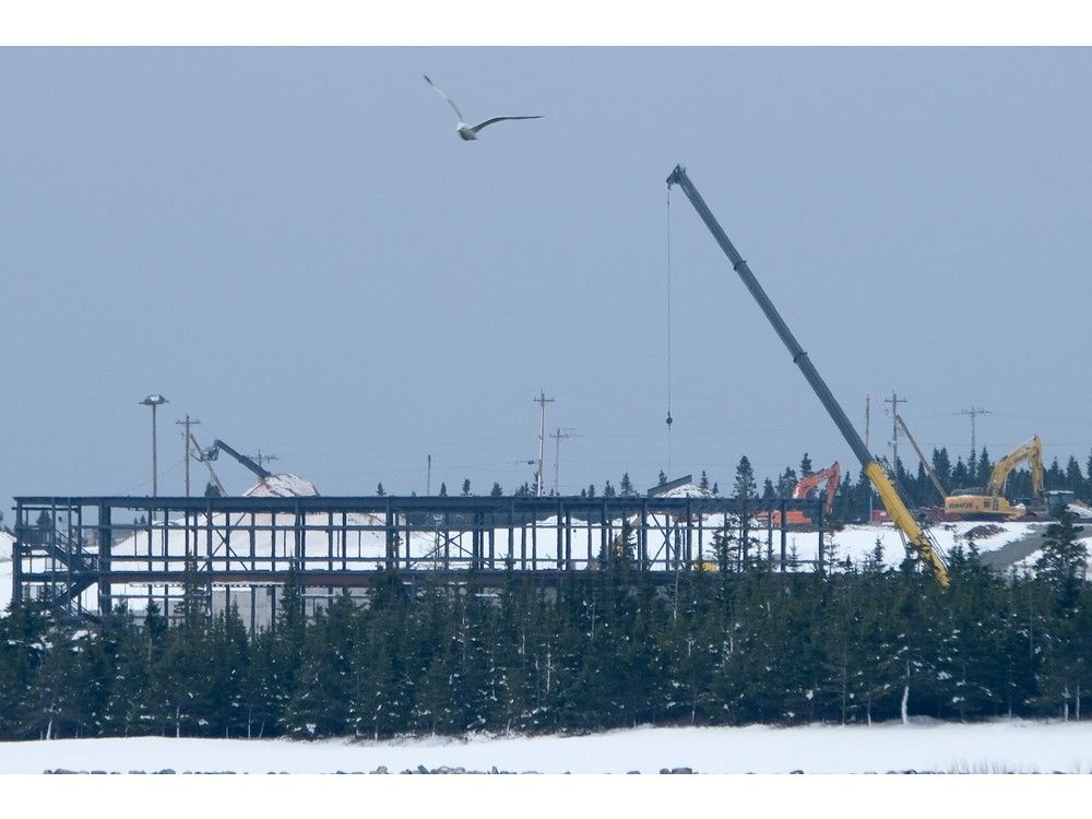 Construction kicks into gear at $241 million Hartlen Point facility that will test new River-class destroyers