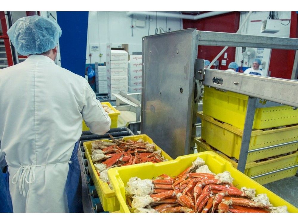 At the helm: NL seafood producers appoint a new executive director