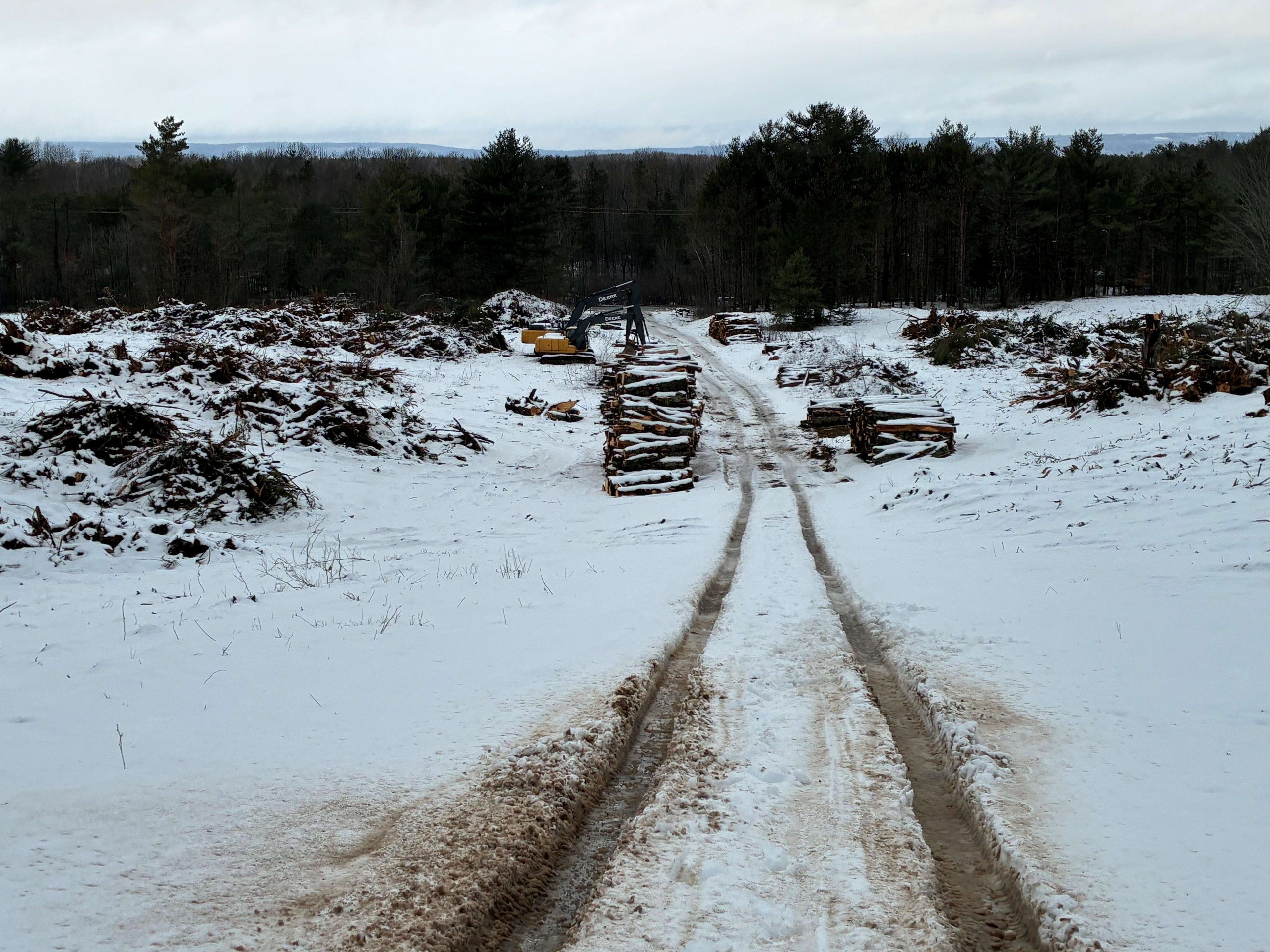 Heavy equipment sits behind a pile of logs in the first area being cleared in Kentville for a new seniors community being developed. The Kentville Crossing project is expected to see construction of the first building on the almost 200-acre site start within a year.